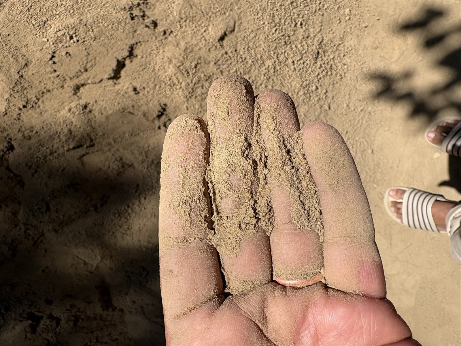 An open hand dusted with fine local soil