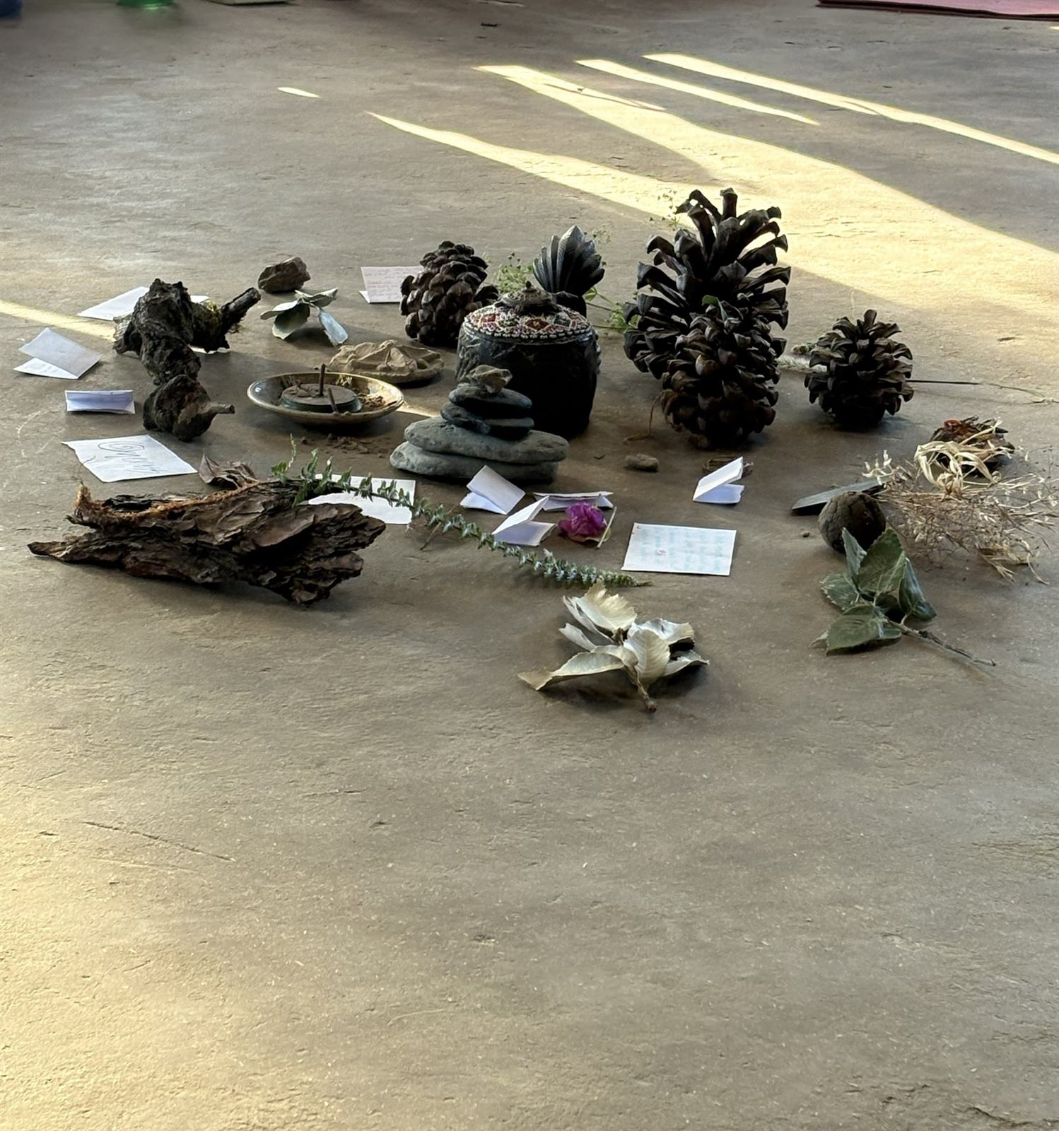 An arrangement of pine cones, stones, bark and leaves laid out in a permaculture session